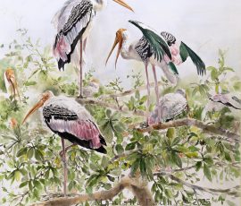 Watercolours on Arches paper - In collection of Woodson Museum family. Manisha Padhye