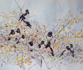 Winter Visitors- Rosy Pastors - SOLD - Birds in Art 2015. In collection of the Woodson Museum, WI - USA Manisha Padhye - Watercolours
