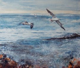 Gulls surfing Manisha Padhye